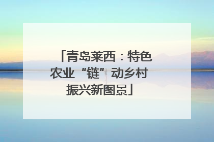 青岛莱西：特色农业“链”动乡村振兴新图景