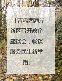 青岛西海岸新区召开政企座谈会，畅谈服务民生新举措