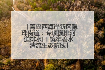 青岛西海岸新区隐珠街道：专项摸排河道排水口 筑牢碧水清流生态防线