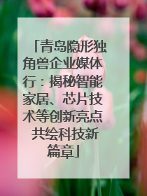 青岛隐形独角兽企业媒体行：揭秘智能家居、芯片技术等创新亮点 共绘科技新篇章