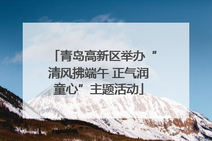 青岛高新区举办“清风拂端午 正气润童心”主题活动