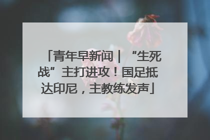 青年早新闻｜“生死战”主打进攻！国足抵达印尼，主教练发声
