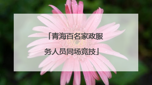 青海百名家政服务人员同场竞技