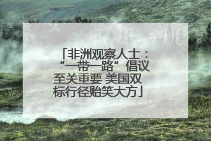 非洲观察人士：“一带一路”倡议至关重要 美国双标行径贻笑大方