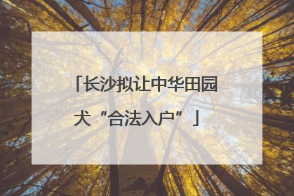 长沙拟让中华田园犬“合法入户”