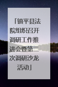 镇平县法院组织召开调研工作推进会暨第二次调研沙龙活动