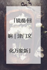 镜观·回响｜津门文化万象新