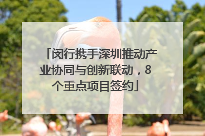 闵行携手深圳推动产业协同与创新联动，8个重点项目签约