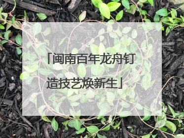 闽南百年龙舟钉造技艺焕新生