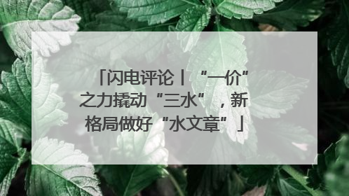闪电评论丨“一价”之力撬动“三水”，新格局做好“水文章”