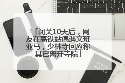 闭关10天后，网友在高铁站偶遇文班亚马，少林寺回应称其已离开寺院
