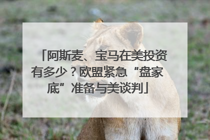 阿斯麦、宝马在美投资有多少？欧盟紧急“盘家底”准备与美谈判