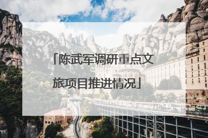 陈武军调研重点文旅项目推进情况