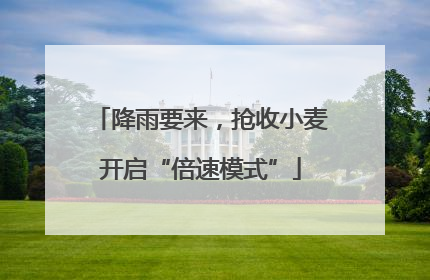 降雨要来，抢收小麦开启“倍速模式”