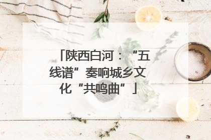 陕西白河：“五线谱”奏响城乡文化“共鸣曲”