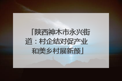 陕西神木市永兴街道：村企结对促产业 和美乡村展新颜