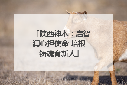陕西神木：启智润心担使命 培根铸魂育新人