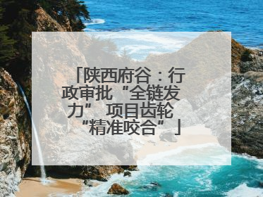 陕西府谷：行政审批“全链发力” 项目齿轮“精准咬合”