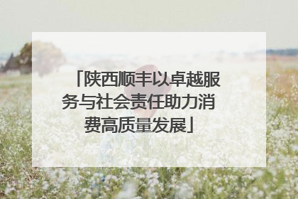 陕西顺丰以卓越服务与社会责任助力消费高质量发展