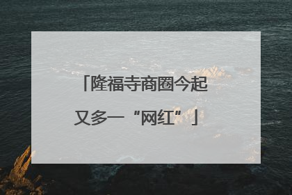隆福寺商圈今起又多一“网红”