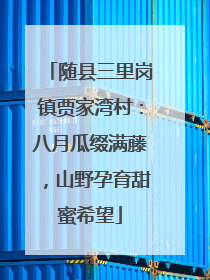 随县三里岗镇贾家湾村：八月瓜缀满藤，山野孕育甜蜜希望
