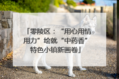 零陵区：“用心用情用力”绘就“中药香”特色小镇新画卷