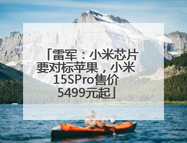 雷军：小米芯片要对标苹果，小米15SPro售价5499元起