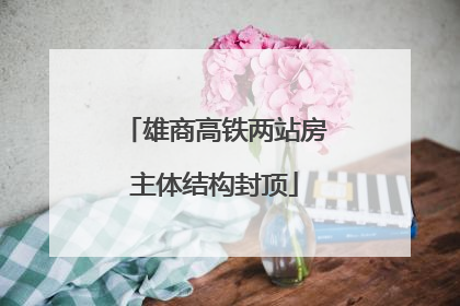 雄商高铁两站房主体结构封顶