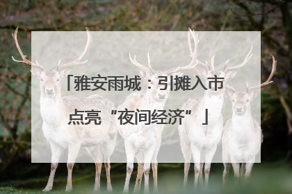 雅安雨城：引摊入市 点亮“夜间经济”