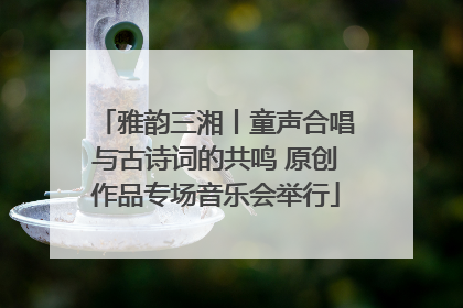 雅韵三湘丨童声合唱与古诗词的共鸣 原创作品专场音乐会举行