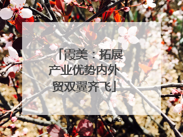霞美：拓展产业优势内外贸双翼齐飞