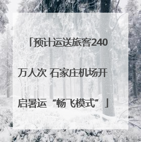 预计运送旅客240万人次 石家庄机场开启暑运“畅飞模式”