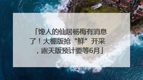 馋人的仙居杨梅有消息了！大棚版抢“鲜”开采，露天版预计要等6月