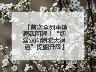 首次全列重箱满载回程！“烟淄双向物流大通道”提能升级