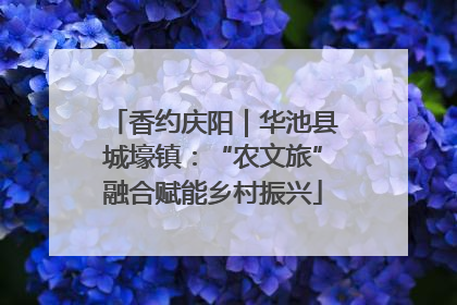 香约庆阳｜华池县城壕镇：“农文旅”融合赋能乡村振兴