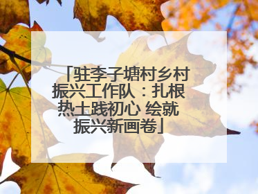 驻李子塘村乡村振兴工作队：扎根热土践初心 绘就振兴新画卷