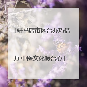 驻马店市区台办巧借力 中医文化暖台心