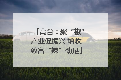 高台：聚“椒”产业促振兴 增收致富“辣”劲足