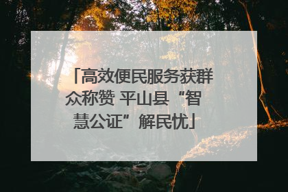 高效便民服务获群众称赞 平山县“智慧公证”解民忧