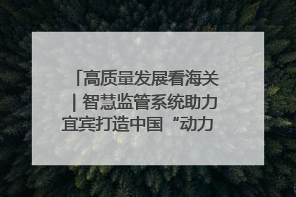 高质量发展看海关｜智慧监管系统助力宜宾打造中国“动力电池之都”