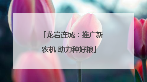 龙岩连城：推广新农机 助力种好粮