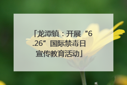 龙潭镇：开展“6.26”国际禁毒日宣传教育活动