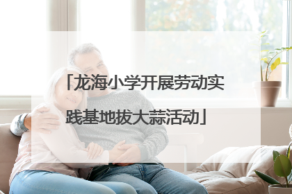 龙海小学开展劳动实践基地拔大蒜活动
