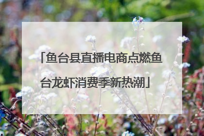 鱼台县直播电商点燃鱼台龙虾消费季新热潮