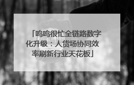 鸣鸣很忙全链路数字化升级：人货场协同效率刷新行业天花板