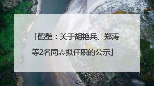 鹤壁：关于胡艳兵、郑涛等2名同志拟任职的公示