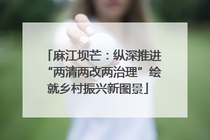 麻江坝芒：纵深推进“两清两改两治理”绘就乡村振兴新图景