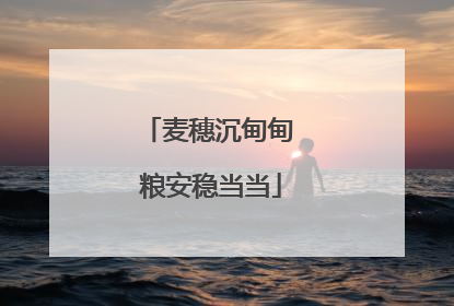 麦穗沉甸甸 粮安稳当当