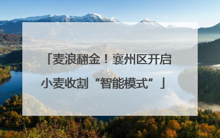 麦浪翻金！襄州区开启小麦收割“智能模式”