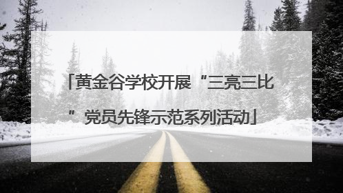黄金谷学校开展“三亮三比”党员先锋示范系列活动